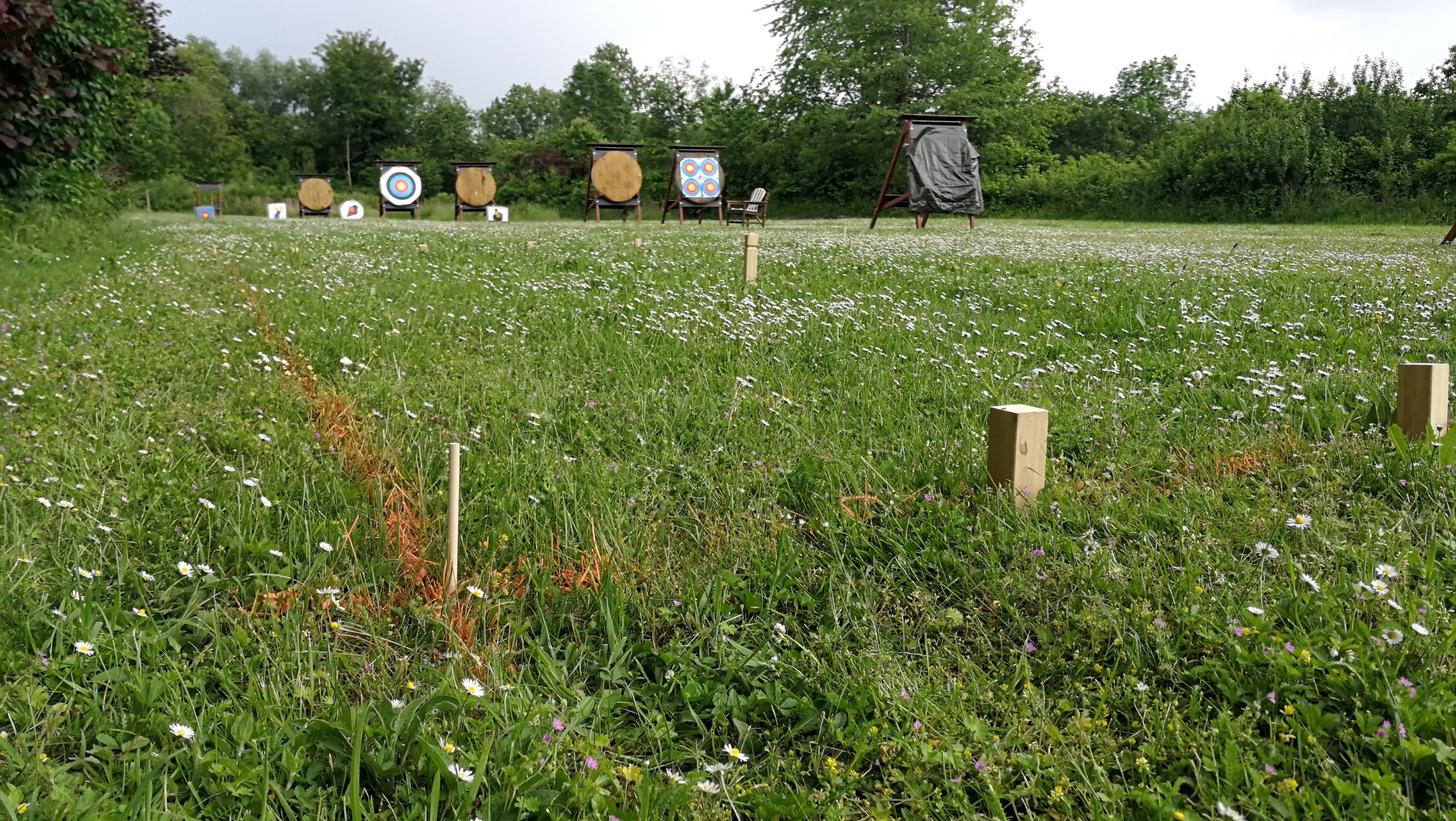 Wikingerschach Spielfeld